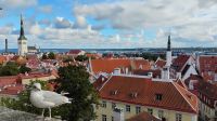 Aussicht auf Tallinn 