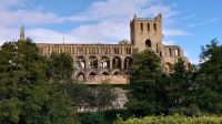 248 Jedburgh Abbey