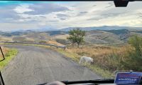 Heimfahrt von Craco mit Blick zum Pollino Gebirge