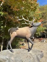 Ost-Kanada zum Indian Summer - Omega Wildpark 