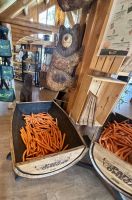 Ost-Kanada zum Indian Summer - Omega Wildpark 