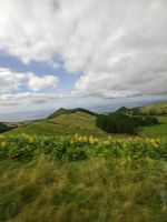 Ingwerlilien und Hortensien