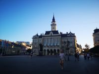 ..... und das Rathaus von Novi Sad