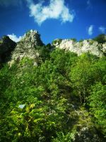 .... bis den Bergen....