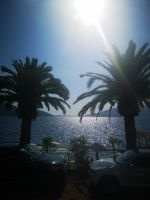 Unter den Palmen... am Adria