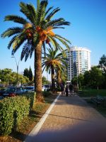 Wieder in touristischem Ort Budva