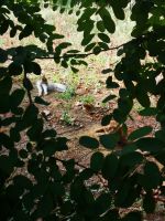 Auch wir gehören hierher....