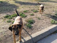 Eine nette Begrüßung......