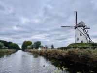 Tag 5 - Windmühle Schellemolen, Damme