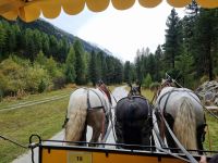 Pferdekutschfahrt ins Val Roseg