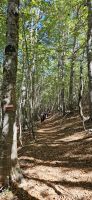 Wanderung im Pollino Gebirge 