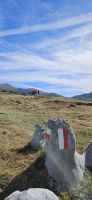 Wanderung im Pollino Gebirge 