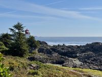 15. Tag – Tofino & Pacific Rim National Park – Spaziergang auf dem Ucluelet Lighthouse Loop