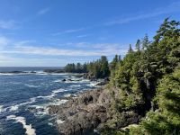 15. Tag – Tofino & Pacific Rim National Park – Spaziergang auf dem Ucluelet Lighthouse Loop