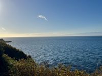 17. Tag – Victoria bis Vancouver – An der Salish Sea in Victoria