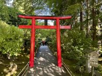 17. Tag – Victoria bis Vancouver – Besuch der Butchart Gardens – Japanischer Garten