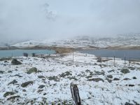 Fahrt zum Bernina-Pass...