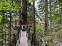 18. Tag – Ausflug in den Norden Vancouvers – Besuch der Capilano Suspension Bridge