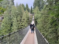 18. Tag – Ausflug in den Norden Vancouvers – Besuch der Capilano Suspension Bridge
