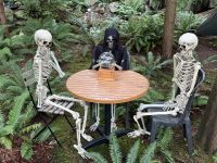 18. Tag – Ausflug in den Norden Vancouvers – Besuch der Capilano Suspension Bridge