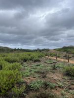 Zweiter Wandertag, Menorca, Spanien