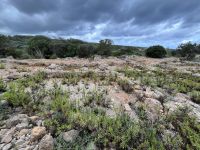 Zweiter Wandertag, Wanderweg, Landschaft, Menorca, Spanien