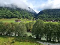 Fahrt mit dem Glacier-Express... (Goms bzw. Oberes Rhonetal)