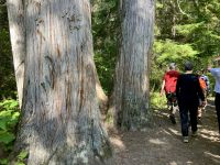 Wanderung in Wells Grey Park