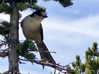 und wo sind die anderen ?