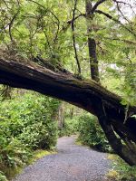 Der Romantische Weg in Ucuelet