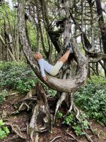 Mogli, die Reiseleitung