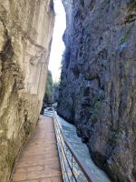 Aareschlucht 