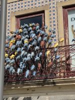 Aveiro (5)