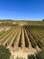 Portugal - Douro-Tal