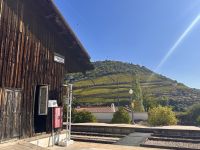 Portugal - Douro-Tal