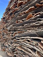 Portugal - Korkfabrik