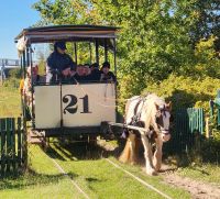 Spiekeroog - Museumspferdebahn
