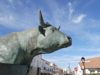 vor der Stierkampfarena in Saintes-Maries-de-la-Mer 