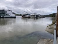 ...ganz schön was los hier