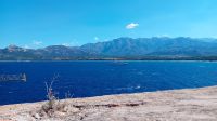 Calvi