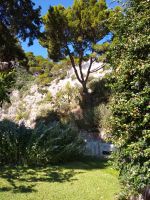 Capri 
