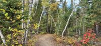 125 Wanderung am Lac Taureau