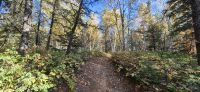 131 Wanderung am Lac Taureau