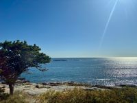 Ost-Kanada zum Indian Summer - Acadia Nationalpark 