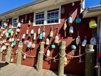 Ost-Kanada zum Indian Summer - Bar Harbour