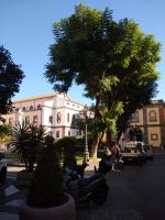 Sorrento 