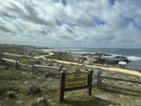 Pacific Grove - Asilomar Dunes