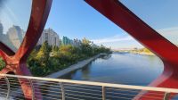 Friedensbrücke am Bow River in Calgary