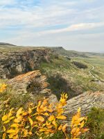 Büffelklippe - Head-Smashed-In Buffalo Jump in Alberta
