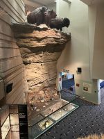Im Besucherzentrum Head-Smashed-In Buffalo Jump in Alberta